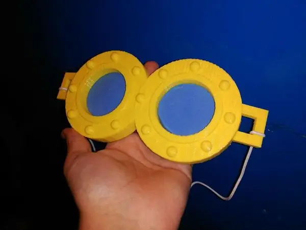 Koala Glasses from One Piece