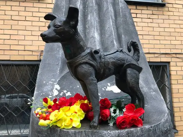 Laika Moscow Monument (Portion)