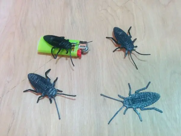 Cockroach