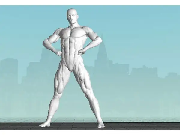 Male Bodybuilder 1 Full body
