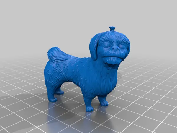 Shih Tzu