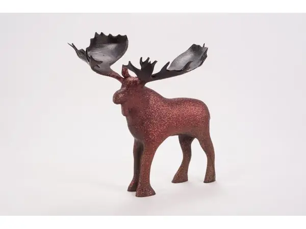 Moose