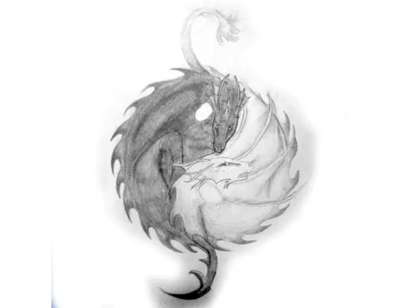 Yin Yang Sleeping Dragons