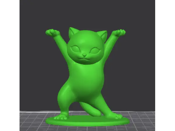 Graphics Card Bracket Dancing Cat