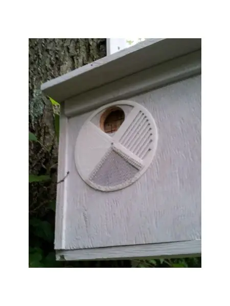 Bait Hive Entrance Disc