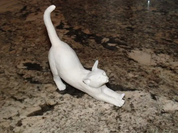 Cat Stretch
