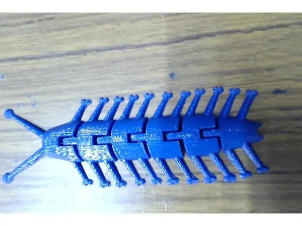 Centipede