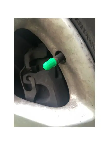 valve cap (universal)