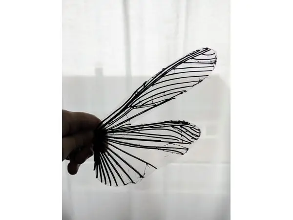 Bionic Locust Wing for MAVs