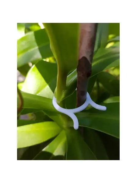 Plant Clip