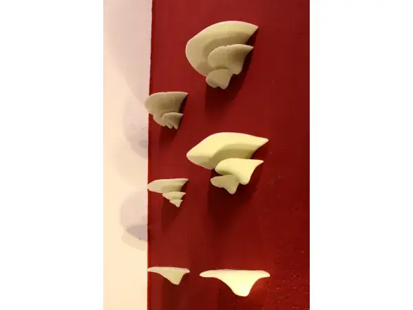 Large Mushroom Shelves with wall mount bracket and two more designs