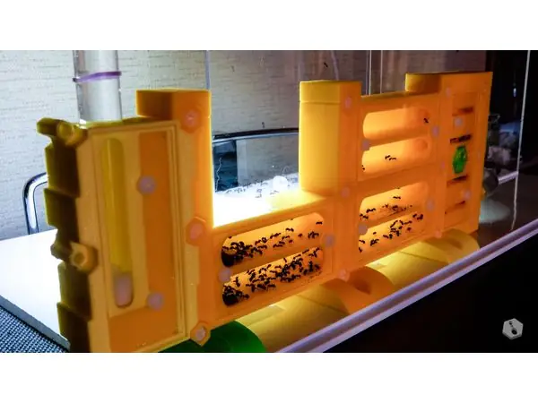 formicarium BetterForm [BF3] (modular kit)