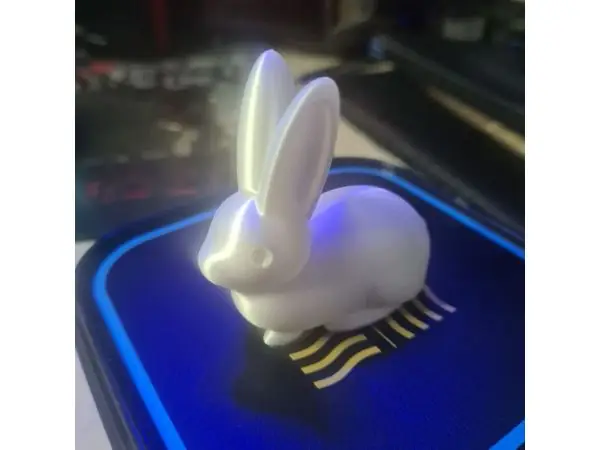Rabbit