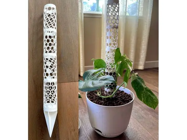 Moss Pole for Monstera