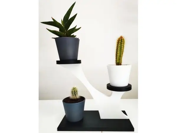 plant support