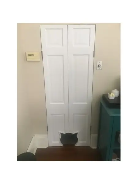 Cat Head Cat Door