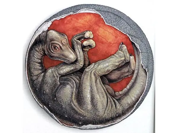 Sauropod Embryo