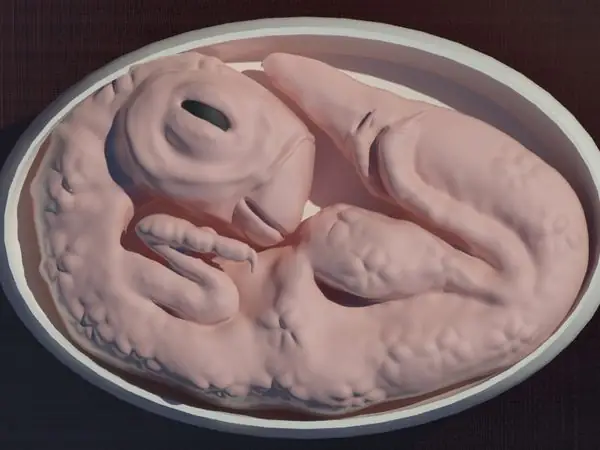 Dinosaur Egg