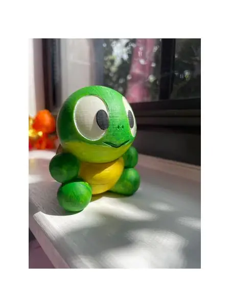 turtle boy