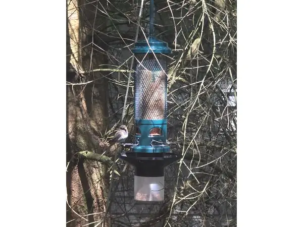 Seed catch for Squirrel Buster Legacy bird feeder