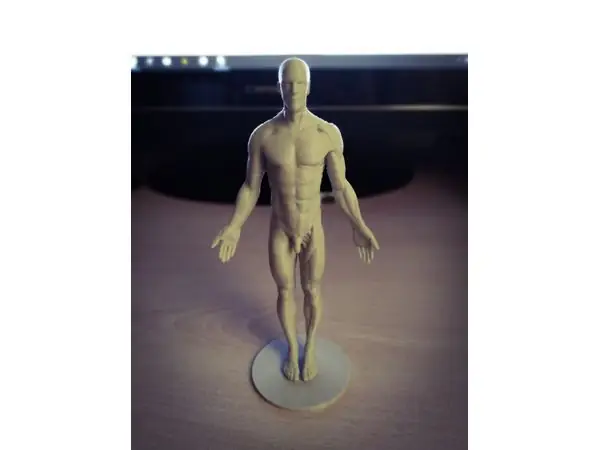 Anatomy Reference Optimized
