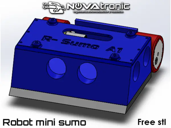 Mini Sumo Robot
