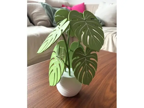 Monstera-Untersetzer-Pflanze mit Geheimfach in der Vase