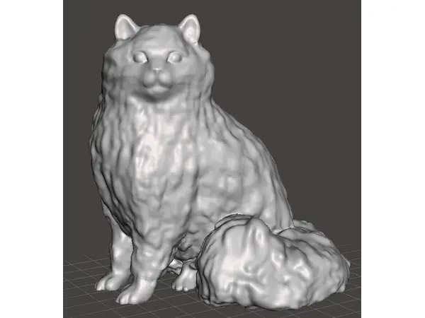 Long Hair Cat