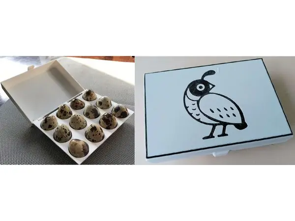Egg box for quail eggs