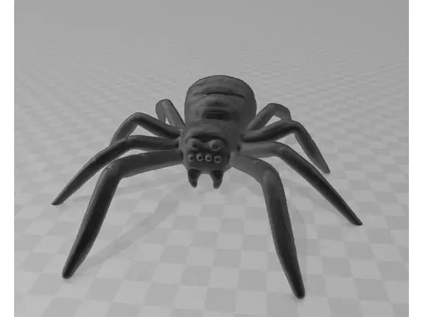 Spider