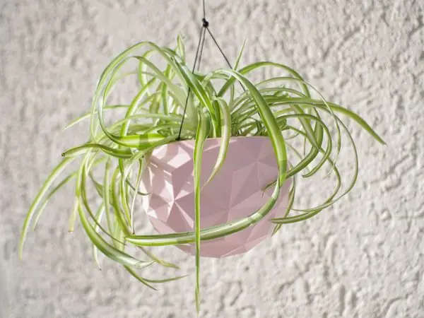 Geodesic Hanging Planter Pot