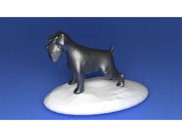 Schnauzer
