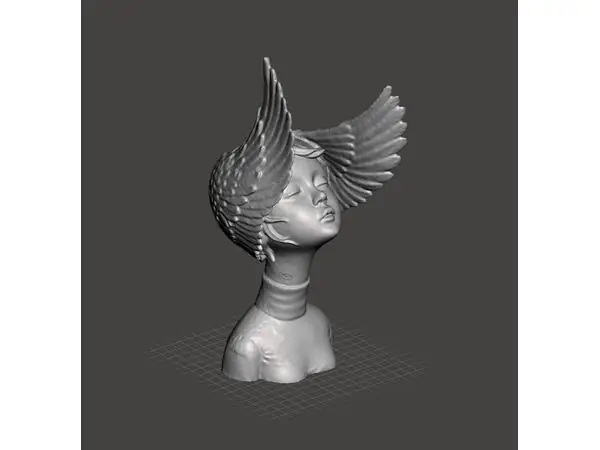 Girl with wings
