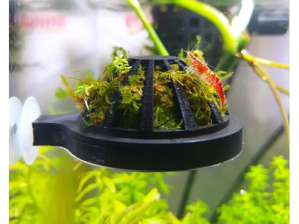 Moss dome