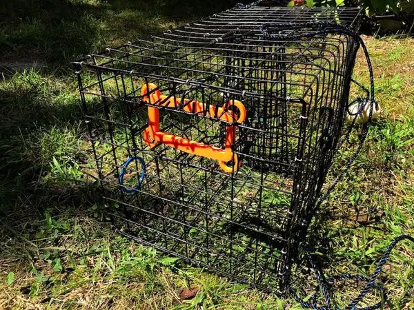 Maryland TED (Turtle Exclusion Device) for Crabbing