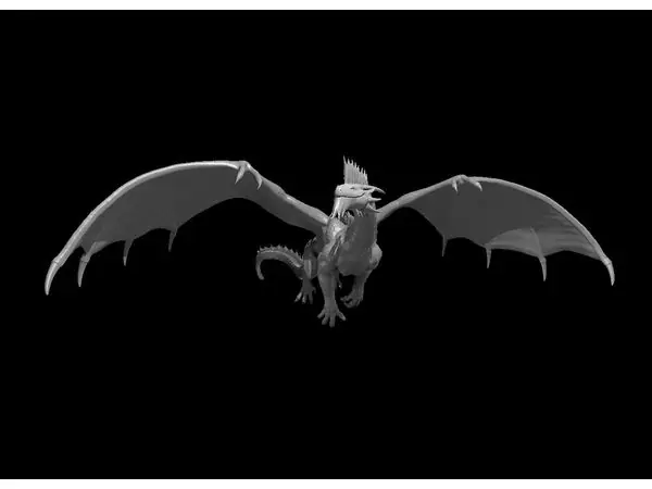 Silver Dragon