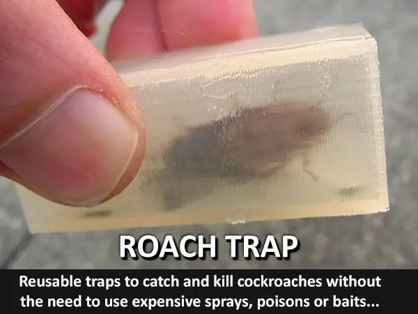 Roach Trap...Reusable trap to catch and kill cockroaches