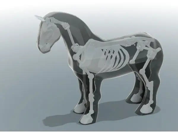 Articulated Horse Skeleton - Perfect Base for Plush Toy