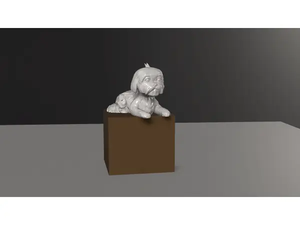 Shih Tzu