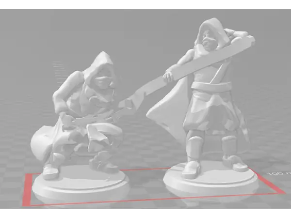 Assassin Twins