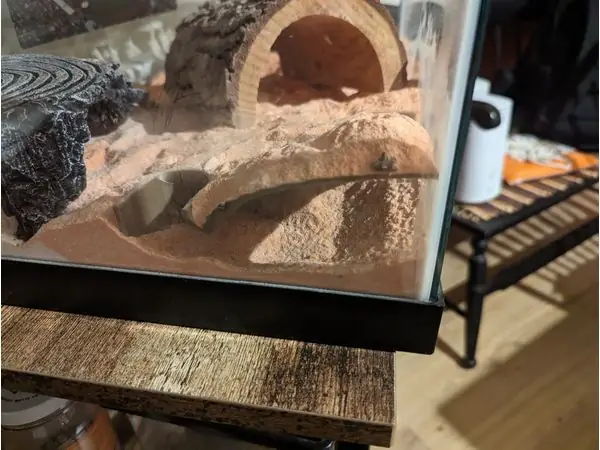 terrarium tunnel for small lizard or aquarium tunnel for fish