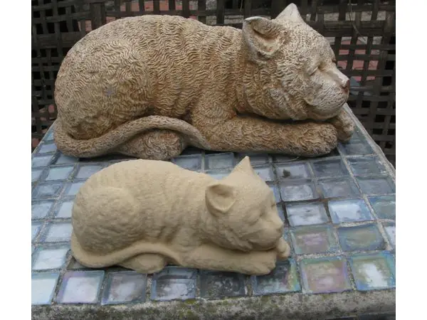 Sleeping Cat