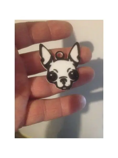 Chihuahua