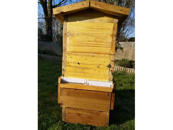 Porte de ruche warre / Bee hive entrance