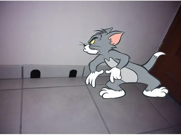 Tom & Jerry mouse hole