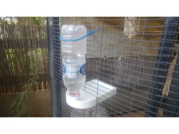Pet water dispenser