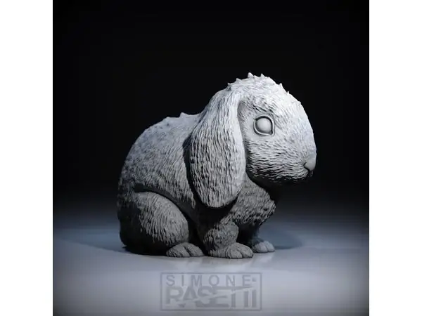 Rabbit