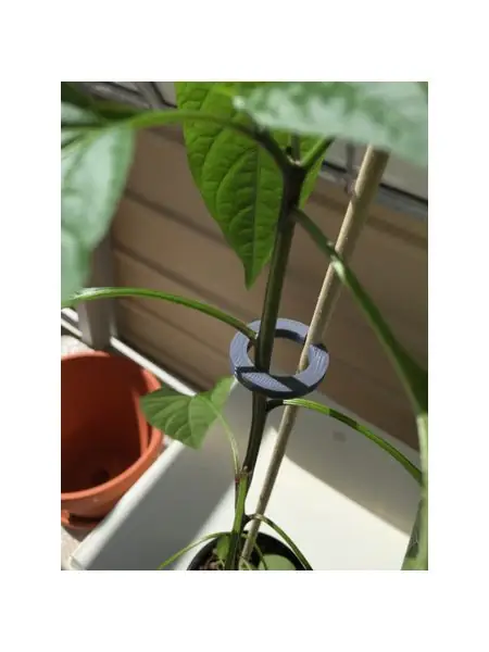 Plant support / guide