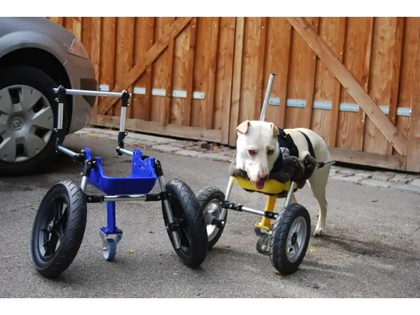 Dog wheelchair improved for twolegged dogs (front legs)