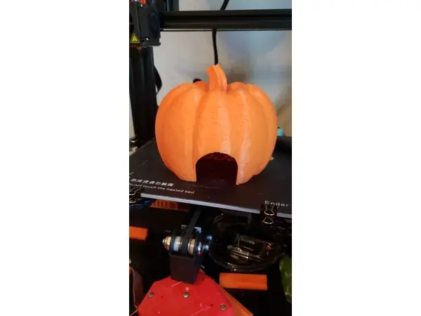 pumpkin reptile hide